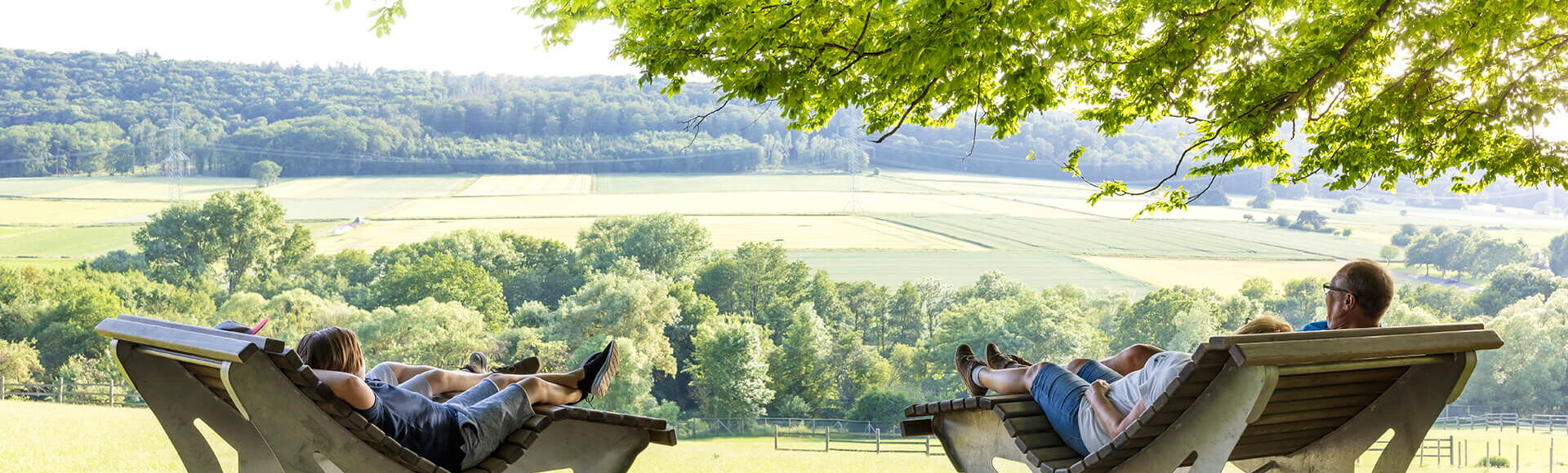 Ruhepause mit Panoramablick auf den Holzliegestühlen im Wildpark Knüll, eine Baumkrone spendet Schatten