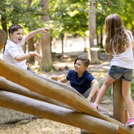 Zwei Jungen und ein Mädchen klettern auf einem Spielgerät aus Baumstämmen im Wildpark Knüll