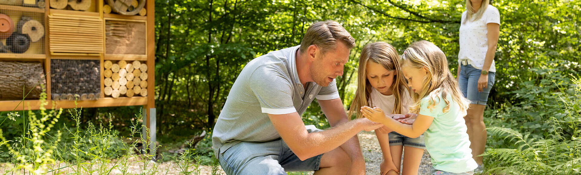 Familie im Bienenwald: Vater mit zwei kleinen Töchtern entdeckt kleines Bienchen, Hintergrund Insektenhotel