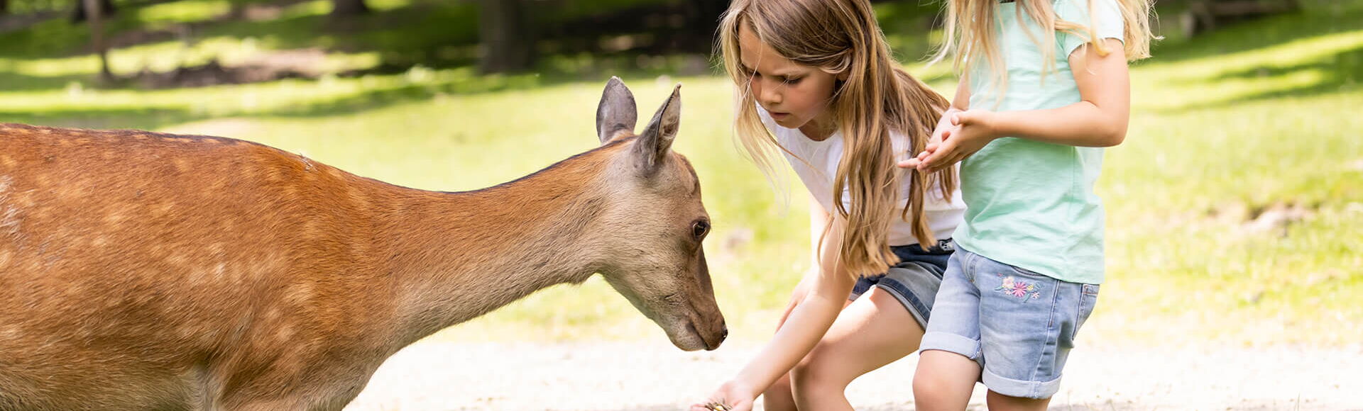 Zwei Töchter stehen gemeinsam mit einem Reh auf der Wiese und halten dem Reh mit ausgestreckter Hand etwas Nahrung hin