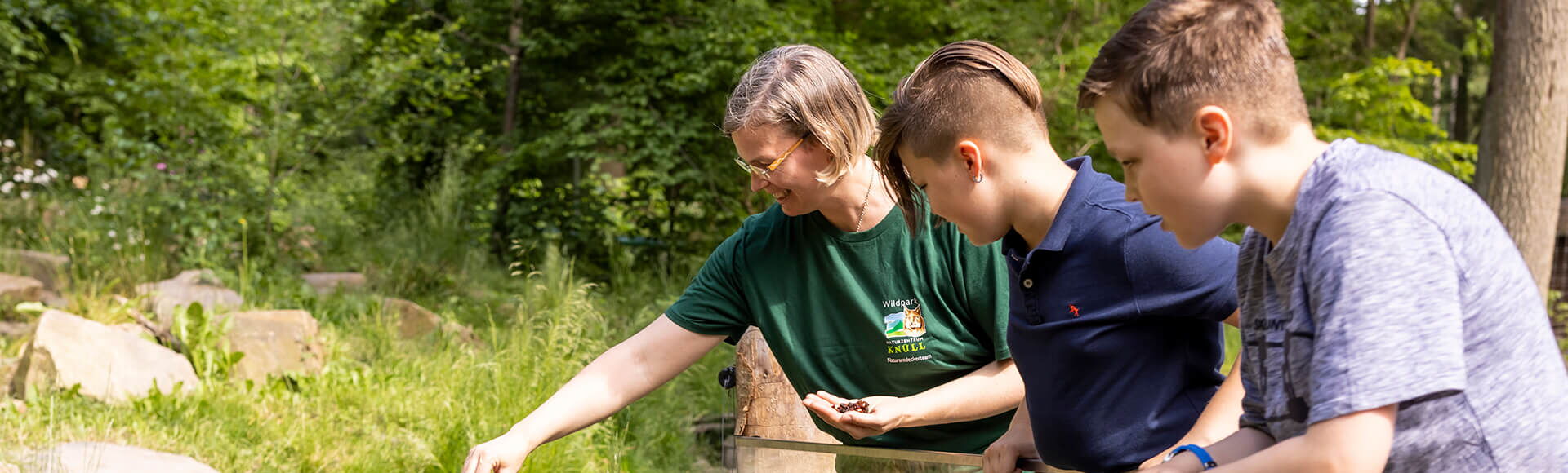 Zwei Jungen beobachten, wie Frau Engelbrecht einen Waschbären füttert, der Waschbär steht aufrecht auf seinen Hinterbeinen und streckt seine Pfoten der Nahrung entgegen