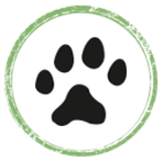 Eurasischer Luchs, Nordluchs